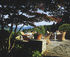 Clock up a free night in the Lakes
