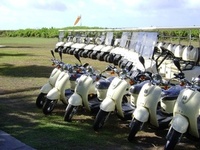 Eco retreat unveils solar-powered guest buggies