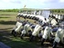 Eco retreat unveils solar-powered guest buggies