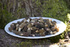 Autumn in Argyll: Mushrooms and mountain air 