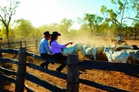 A voyage of discovery in Queensland
