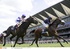 Royal Ascot racing breaks 