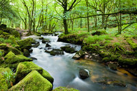 Get back to nature in first-class comfort