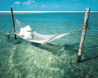 Rewarding year for Rani Resorts