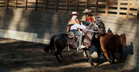 Experience the traditional Chilean way of life
