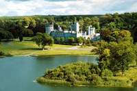 The luck of the Irish - More green for less