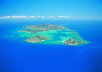 Black Marlin fishing on Lizard Island