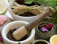 Health and wellness at Half Moon, Jamaica