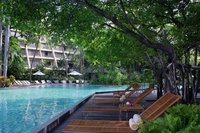 An oasis of tranquillity in the heart of Bangkok