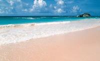 Celebrate your love at Bermuda’s most romantic hotel