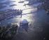 Isango! recommends a romantic rendez-vous