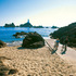 Campaign launched to boost Jersey visitors