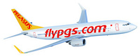 Pegasus Airlines takes flight on Twitter