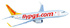 Pegasus Airlines takes flight on Twitter