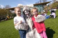 Bonnets, bunnies and Brunel in Bristol