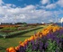 An Easter eggstravaganza in Eastbourne  