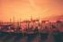 Venice Sunset
