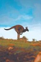 Dream holidays to Australia & New Zealand