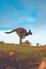 Kangaroo