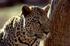 Namibia