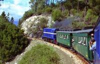 Unusual rail holidays - not just for train spotters