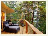 A Canadian escape amid the trees