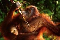Intrepid Travel leads the way in responsible tourism