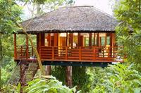 Paradise is a tree-house with Somak Holidays