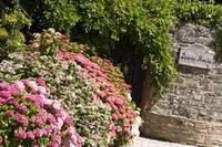 Downe Cottages – the perfect base for a golf break in Devon