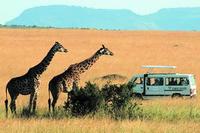 Somak Holidays launches Kenya Kaleidoscope