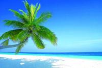 Island Cruises launches Caribbean programme