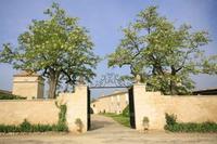 Experience exclusive chateau chic in Bordeaux