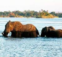 2 by 2 Holidays launches new range of safaris to Zambia
