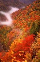 West Virginia Prepares For Autumn Colours