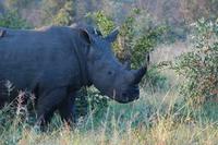 Enjoy an African adventure of a lifetime