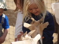 A range of discounts from Ranch Rider