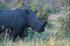 An adventure of a lifetime across Southern Africa     