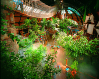Center Parcs European holidays with DFDS Seaways