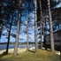 Savouring Sandbanks - But saving pounds 