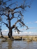 A once a year opportunity in the Outback