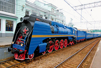 Siberian loco