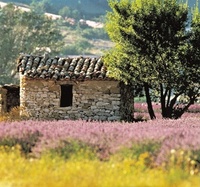 Springtime pleasure and leisure in Mallorca