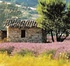 Springtime pleasure and leisure in Mallorca 