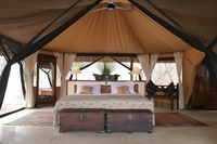 A connoisseurs safari in Tanzania