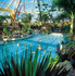 Savings on Center Parcs holidays in Holland