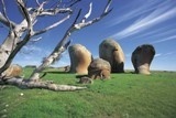 Explore South Australia's spectacular coastline