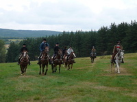 Saddle-up with multi activity trips to Bulgaria 
