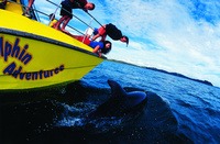 Sweet spring deals for New Zealand and Fiji
