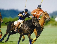 Have a Jilly Cooper weekend learning to play polo in Austria