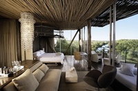 The African dream